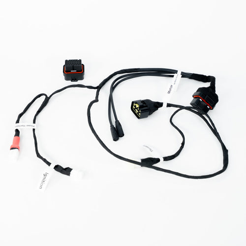EBMX X-9000-V3 Controller Race Harness – Sur-Ron Light Bee