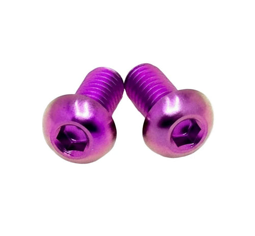 Motor Cover Titanium Bolts (set of 2)