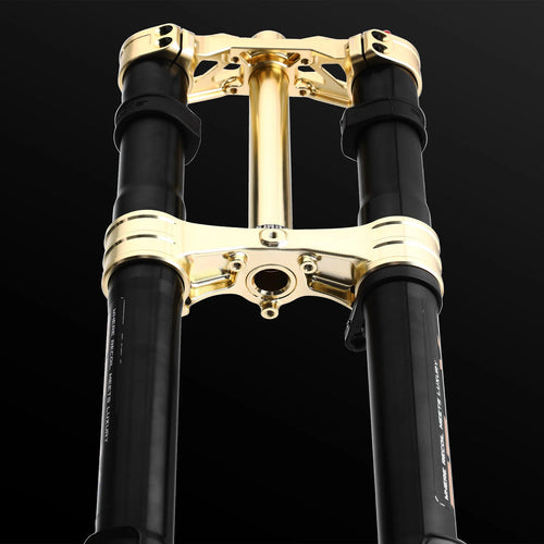 RFloXa Hawk31 Max (Gold)